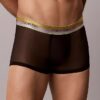 Bañador Low Rise Trunk Icon Mesh Pride