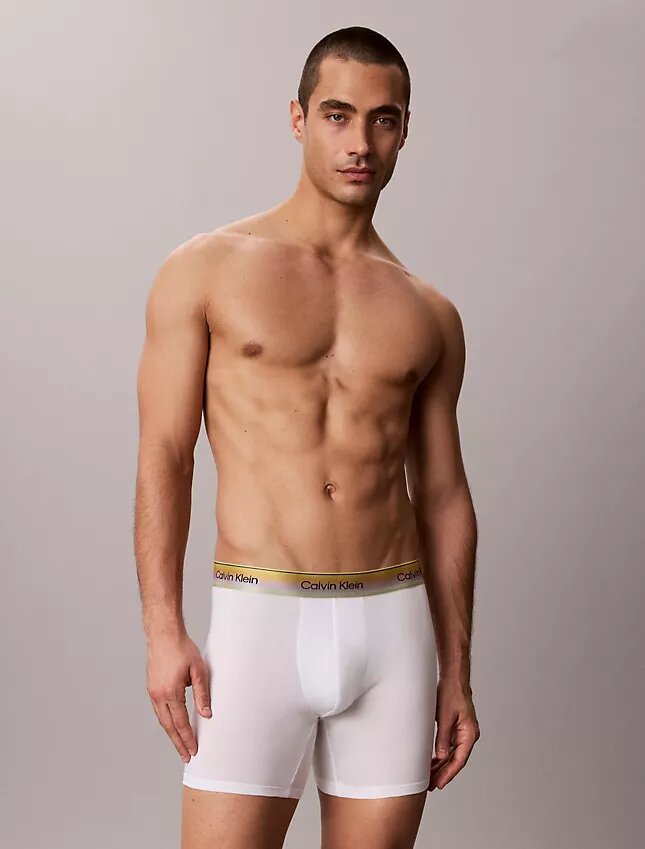 Boxer Brief Cotton Stretch Pride Boxer Brief Cotton Stretch Pride