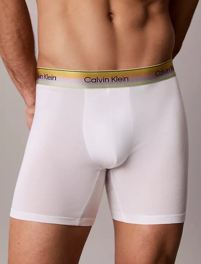 Boxer Brief Cotton Stretch Pride Boxer Brief Cotton Stretch Pride