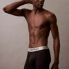 Boxer Brief de microfibra cepillada Boxer Brief de microfibra cepillada