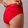 Braguitas de talle bajo Hipster para el Año Nuevo Lunar Braguitas de talle bajo Hipster para el Año Nuevo Lunar