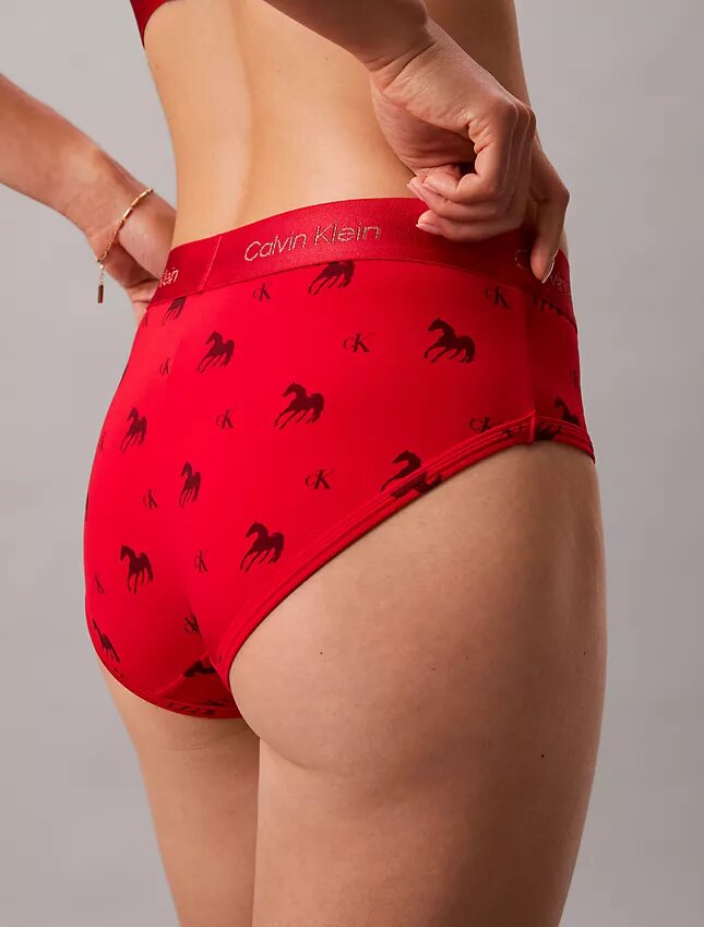 Braguitas de talle bajo Hipster para el Año Nuevo Lunar Braguitas de talle bajo Hipster para el Año Nuevo Lunar