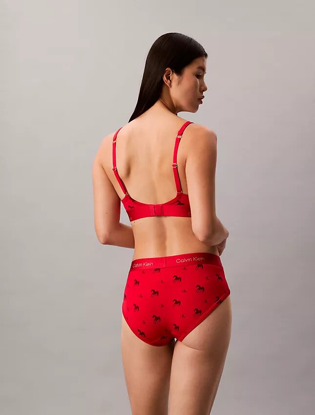 Braguitas de talle bajo Hipster para el Año Nuevo Lunar Braguitas de talle bajo Hipster para el Año Nuevo Lunar