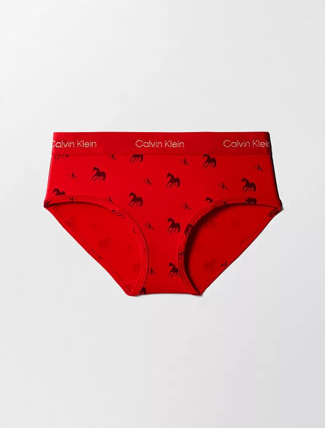 Braguitas de talle bajo Hipster para el Año Nuevo Lunar Braguitas de talle bajo Hipster para el Año Nuevo Lunar