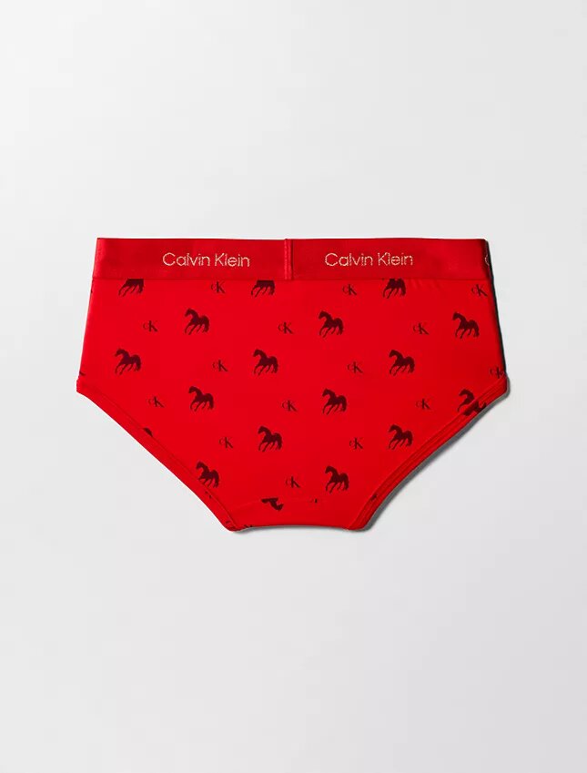 Braguitas de talle bajo Hipster para el Año Nuevo Lunar Braguitas de talle bajo Hipster para el Año Nuevo Lunar