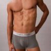 Bóxer elástico de microfibra cepillada de Low Rise Trunk Bóxer elástico de microfibra cepillada de Low Rise Trunk
