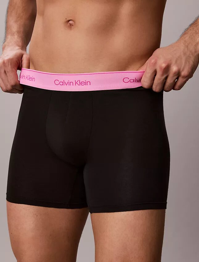 Bóxers ajustados de algodón Cotton Stretch Pride, paquete de 5 Bóxers ajustados de algodón Cotton Stretch Pride, paquete de 5