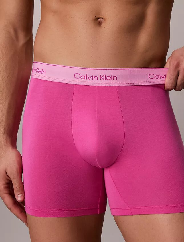 Bóxers ajustados de algodón Cotton Stretch Pride, paquete de 5 Bóxers ajustados de algodón Cotton Stretch Pride, paquete de 5