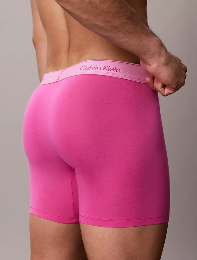 Bóxers ajustados de algodón Cotton Stretch Pride, paquete de 5 Bóxers ajustados de algodón Cotton Stretch Pride, paquete de 5