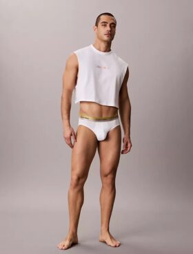 Calzoncillos ajustados Icon Cotton Stretch Pride Hip Slip