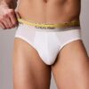 Calzoncillos ajustados Icon Cotton Stretch Pride Hip Slip