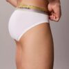 Calzoncillos ajustados Icon Cotton Stretch Pride Hip Slip