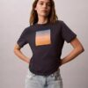 Camiseta clásica con estampado de puesta de sol Camiseta clásica con estampado de puesta de sol