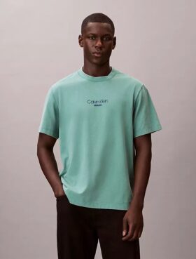 Camiseta clásica con estampado gráfico y lavado ácido