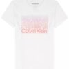 Camiseta clásica con estampado gráfico y logotipo en degradado para niñas Camiseta clásica con estampado gráfico y logotipo en degradado para niñas