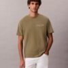 Camiseta clásica con gráfico de logotipo en letra pequeña