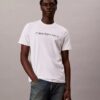 Camiseta clásica con gráfico de logotipo en lámina Camiseta clásica con gráfico de logotipo en lámina