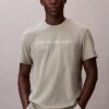 Camiseta clásica con gráfico de logotipo en lámina Camiseta clásica con gráfico de logotipo en lámina