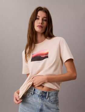 Camiseta clásica con gráfico del logotipo City Sunset