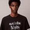 Camiseta clásica con gráfico del logotipo en sombra