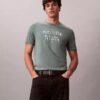 Camiseta clásica con gráfico del logotipo en sombra