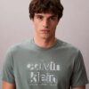 Camiseta clásica con gráfico del logotipo en sombra
