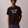 Camiseta clásica con gráfico del logotipo en sombra