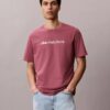 Camiseta clásica con logotipo en minúsculas Camiseta clásica con logotipo en minúsculas