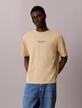 Camiseta clásica de cuello redondo con gráfico del logotipo en color desvaído
