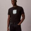 Camiseta moderna con logotipo gráfico de Calvin Klein Camiseta moderna con logotipo gráfico de Calvin Klein