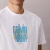 Camiseta moderna con logotipo gráfico de Calvin Klein Camiseta moderna con logotipo gráfico de Calvin Klein