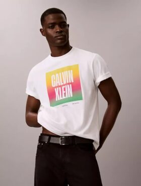 Camiseta sencilla con el logotipo del Orgullo