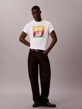 Camiseta sencilla con el logotipo del Orgullo