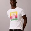 Camiseta sencilla con el logotipo del Orgullo