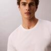 Cotton Classics, pack de 5 camisetas de cuello redondo de corte clásico