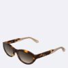 Gafas de sol de acetato con forma de ojo de gato Gafas de sol de acetato con forma de ojo de gato