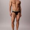 Icon Pride Hip Slips