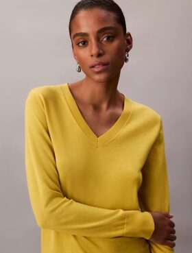 Jersey de cuello en V de lana merina