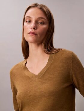 Jersey de cuello en V de lana merina