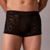 Microfiber Low Rise Trunk con encaje Microfiber Low Rise Trunk con encaje