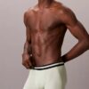 Pack de 3 bañadores Icon Active Mesh Trunk