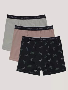 Pack de 3 Boxer Briefs de algodón elástico para niños