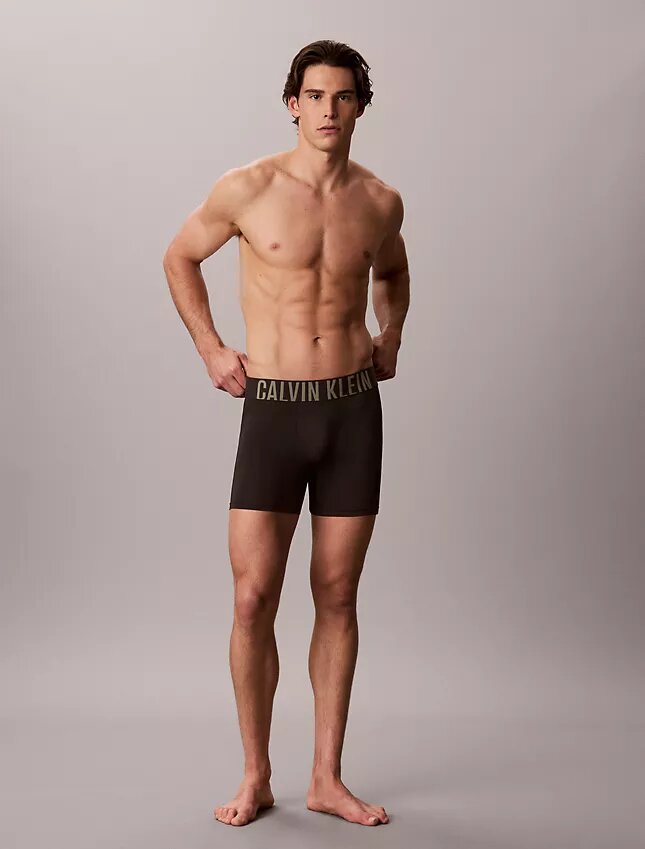 Pack de 3 Boxer Briefs Intense Power Micro Pack de 3 Boxer Briefs Intense Power Micro