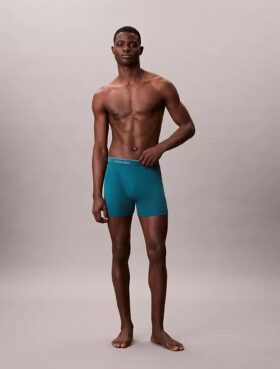 Pack de 5 Boxer Briefs Cotton Classics