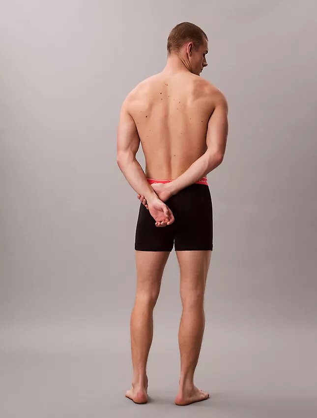 Pack de 5 Boxer Briefs Cotton Classics Pack de 5 Boxer Briefs Cotton Classics