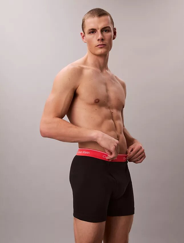 Pack de 5 Boxer Briefs Cotton Classics Pack de 5 Boxer Briefs Cotton Classics