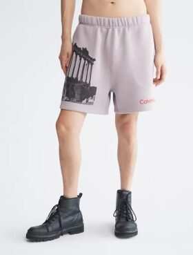 Pantalones cortos de felpa con estampado gráfico Ruins de Standards