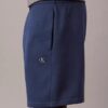 Pantalones cortos de felpa con logotipo de archivo Pantalones cortos de felpa con logotipo de archivo
