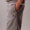 Pantalones cortos de felpa con logotipo de archivo Pantalones cortos de felpa con logotipo de archivo