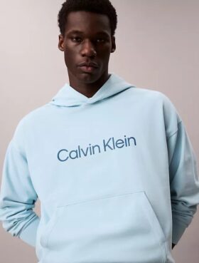 Sudadera con capucha de felpa con logotipo estándar